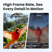 Birdfy Rookie Smart Bird Feeder with Camera, 1080P HD Video, 60FPS Slow-Motion, AI Bird Identification, Full-Color Night Vision, IP66 Waterproof, Eco-Friendly Design