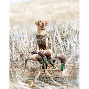 Rig'Em Right 165-S Swamp Bully Adjustable Dog Stand
