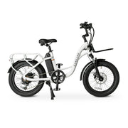 Concord Loadpro Electric Cargo Bike, 20