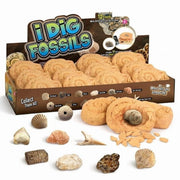 Byncceh Fossil Dig Kit Educational STEM Science Toy with 12 Real Fossils and Dinosaur Bones for Kids Ages 6+