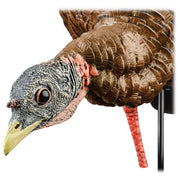 Avian-X HDR Heavy-Duty Realism Full-Body Feeder Hen Turkey Decoy