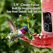 Humbirdy Hummingbird Feeder with 4K Ultra HD Camera, 120fps Slow-Motion, 1.9in Focus, Solar Charging, Dual-Band Wi-Fi 6, Leak-Proof and Ant Moat Design, Red