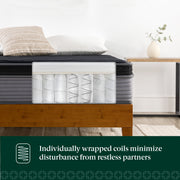Zinus Tranquility 10in Medium Hybrid Mattress with Pocketed Coil Support, Black, Queen