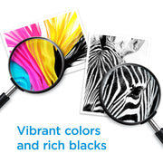 HP N9H64FN#RFD 62 Original Black & Tri-Color Ink Cartridge Combo Pack for HP ENVY & Office Jet Printers