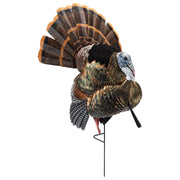 Avian-X HDR Heavy-Duty Realism Full-Body Strutter Turkey Decoy