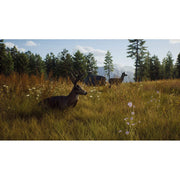 THQ Nordic Way of the Hunter - PlayStation 5