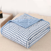 Fridja Thin Microfiber Breathable Plaid Pattern Thin Bedding Comforter, Queen, Light Blue - Lightweight