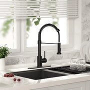 PHANCIR 2104 Kitchen Faucet with Pull Down Sprayer, Matte Black