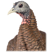 Avian-X HDR Hen Turkey Decoy, Heavy-Duty Realism, Two Interchangeable Heads, Multicolor, Durable Blow-Molded Design, AVX8106