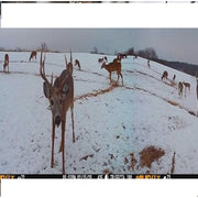 Muddy Trifecta 180 Degree Trail Camera with Wide-Angle Lens, Cellular Connectivity, High-Quality Imaging, Weather-Resistant Design