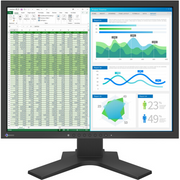 EIZO S2134-GY Computer Monitor, 21-Inch 4:3 Display, 1600x1200 Resolution, Gray