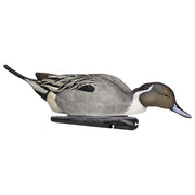 Avian-X Topflight Pintail Duck Decoys 6-Pack