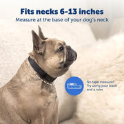 PetSafe NanoBark Bark Control Collar for Small and Medium Dogs, Waterproof, Rechargeable, Lightweight, Low-Profile, 10-Level Static Stimulation, PBC00-17758