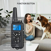 Heaflex HF003800 Dog Training Electric Collar 2600ft Remote 4 Modes Light Beep Vibration Shock Waterproof 2 Dogs, Black & Green