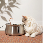 The KittySpout 2.0 - Health & Happiness Cat Kit - 2 Month: KittySpout + 4 filter sets + AC adapter