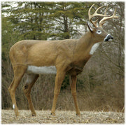 Flambeau 5001167 Outdoor Deer Deocys