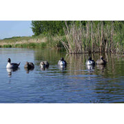GHG Pro Grade Pintail Duck Decoys 6 Pack