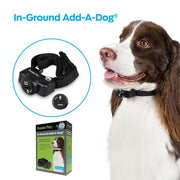 Premier Pet In-Ground Adjustable Add-A-Dog Collar, Black