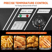 Daluvenix Commercial Electric Deep Fryer, Dual Tank 12L Capacity, 5000W, Stainless Steel, Adjustable Temperature Control, DA-KI02057
