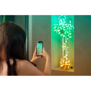 Twinkly TWKP100RGB-G1 Strings USB-C 100 Pearl-Shaped RGB Multicolor LED Indoor String Lights, 20 ft