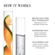 Meaningful Beauty Youth Activating Melon Serum Lightweight Hydrating Anti Aging Facial Serum with Melon Stem Cell Extract and Hyaluronic Acid 0.5 Fl Oz