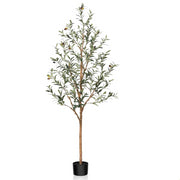 DR.Planzen 5214MC0936 7 ft Artificial Olive Plants with Realistic Leaves