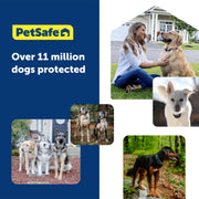 PetSafe Guardian GPS Dog Fence, Advanced AccuGuard Technology, Wireless Virtual Fence, Waterproof Rechargeable Collar, Supports Up to 8 Dogs, Black