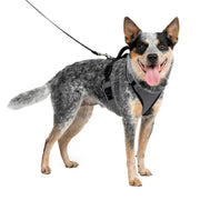 PetSafe WM-ESPH-M-GRY EasySport Dog Harness, Control Handle and Reflective Piping, Medium, Charcoal Grey