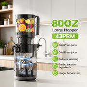 Laudlife 20251113XMZJ Cold Press Masticating Juicer, 5.4 in Large Feed Chute, 150W Motor, Ultra Quiet, BPA Free, Easy Clean, Gray