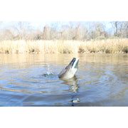 MOJO Outdoors Hw2554 Dabbler Motorized Feeding Duck Decoy