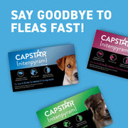 Sercz Capstar Oral Flea Treatment for Small Dogs 2-25 lbs, Fast-Acting Chewable Tablets, 6 Count, 11.4 mg