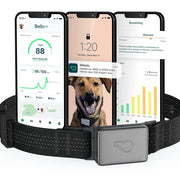 Whistle Switch Smart Collar Kit, GPS Location and Health Tracking, Shadow Black, XS/S for Dogs 5-25 lbs