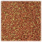 Ani-Logics CRUSH Clover Plus Alfalfa Food Plot Mix Deer Supplement