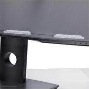 StarTech.com Privacy Screen for Dell P3424WE Curved 34-Inch Ultrawide Monitor, Double-Sided Matte and Glossy Filter, Blue Light Reduction, TAA Compliant