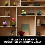 LEGO 6385788 Succulents Plant Decor Building Set for Adults