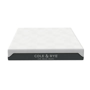 Cole & Rye SM1433-F Spirit 12