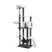 Shandong Dongyangtai Handicrafts Co. Ltd CT240037 Vibrant Life Vibrant Life 5-Level 72