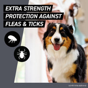 Frontline Shield Flea & Tick Treatment for Medium Dogs 21-40 lbs, Fast-Acting Waterproof Formula, 6 Count, 854