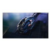 Razer V2 Pro Ultralight Wireless Gaming Mouse, Black