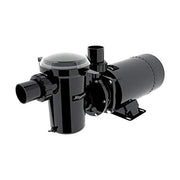 Raypak Protege AGP Above Ground Pool Pump, 1.0 HP Motor, 1.5 in PVC Union Connections, Thermal Protection, Large 89 cu. in. Basket, Black, 018193