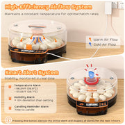 Pet Deluxe 24 Egg Incubator with Automatic 360 Egg Turning, Humidity Control, Built-in Egg Candler, Digital Display, Orange