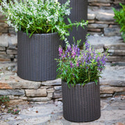 Keter 271123 Small Cylinder Rattan Resin Plant Planter Set of 2, Graphite, Indoor and Outdoor