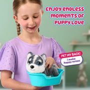 Little Live Pets My Really Real Puppy Mini Aurora the Husky Interactive Plush Toy with 20+ Sounds and Reactions, Cozy Basket Included, Ages 5+