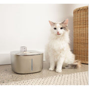The KittySpout  Wireless Fountain - 1 Month: Wireless KittySpout + 2 filter sets