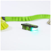 Spin Master Ltd 20150525 HEX BOTS Starter Set Nano Playset with Autonomous Movement, Light-Up Insect Design, 1 Nano Bot and 3 Connectors, Ages 3+