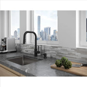 Pfister F-529-7ZNRB Zanna 1-Handle Pull-Down Kitchen Faucet in Matte Black
