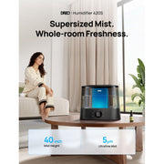 DREO Cool Mist Ultrasonic Humidifier, 1.06 Gallon Tank, 32H Runtime, 3 Mist Levels, Digital Display, Night Light, Black, DWHM10