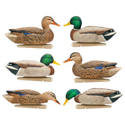 Avian-X Topflight Fusion Mallard Duck Decoys 6-Pack