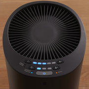 Honeywell HEV615B Top Fill Tower Humidifier with Humidistat Black