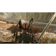 Bethesda Skyrim VR (PS4)